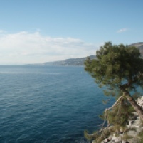 View of the Sea